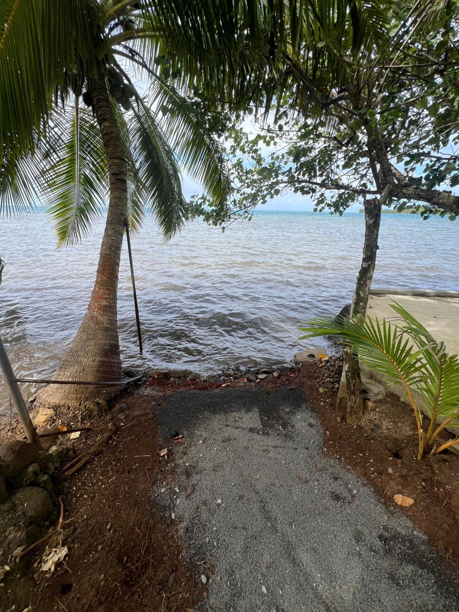 Fare Mama Rota - Au Bord De L'Ocean Villa Taputapuapea Exteriör bild